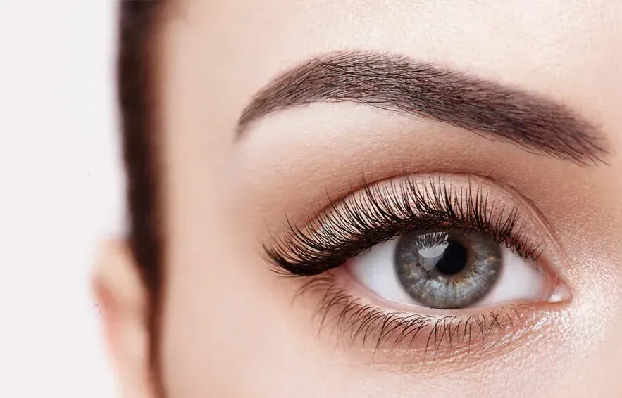 regard